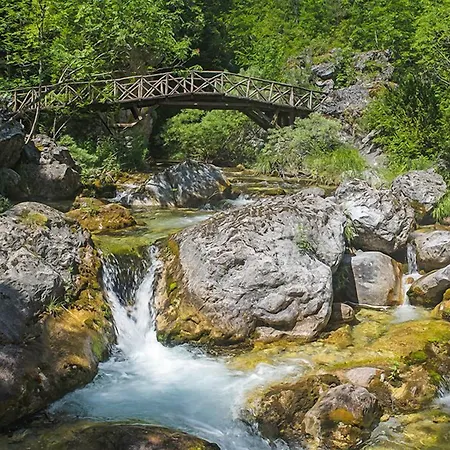 Tropicana 2* Paralía