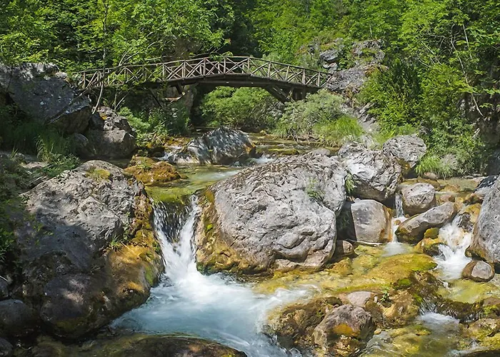 Tropicana 2* Paralía